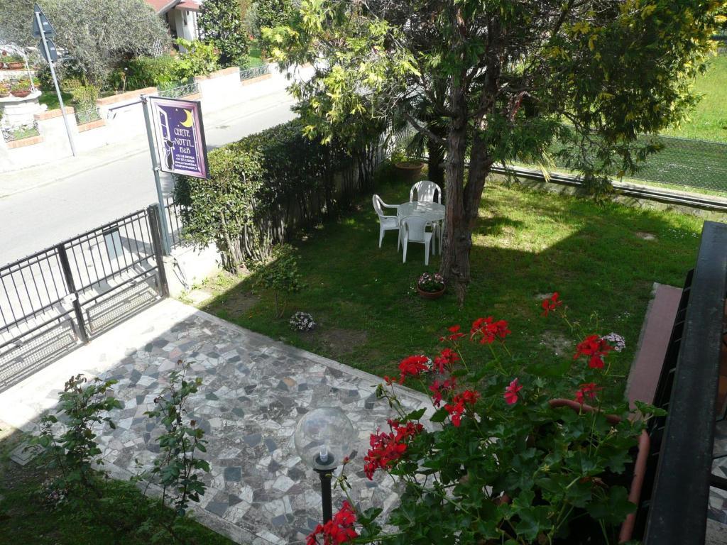 Certe Notti Bed and Breakfast Pisa Eksteriør billede